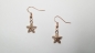 Preview: Seestern Ohrringe rosegoldfarben starfish